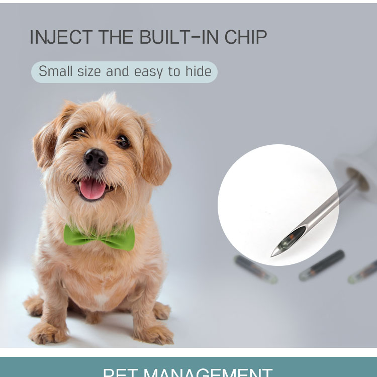 Imagen publicitaria con un perro pequeño y un primer plano de una aguja que destaca el microchip RFID inyectable para identificación animal discreta.
