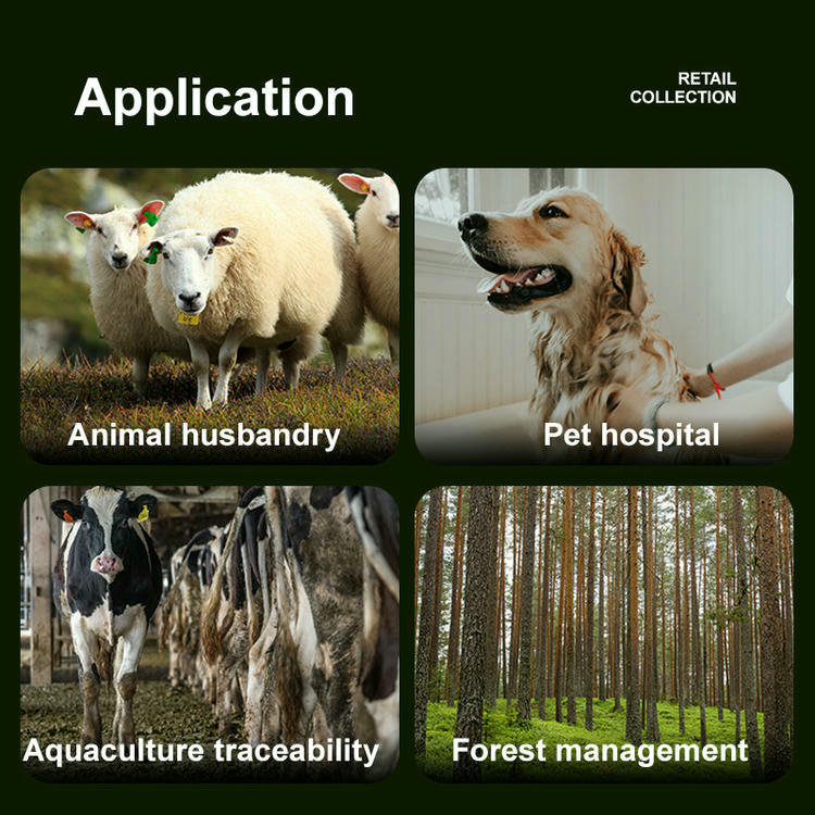 Gráfico de aplicaciones del lector RFID para animales W91C en ganadería, clínicas veterinarias, acuicultura y trabajos forestales.
