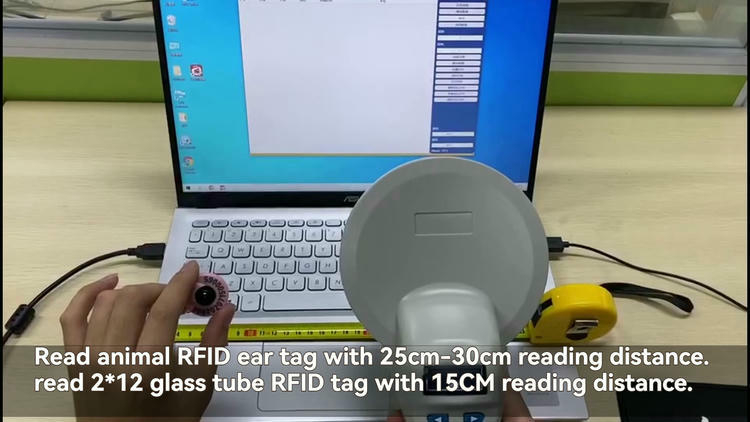 Prueba de alcance del lector RFID animal FS-A03 leyendo un crotal junto a un ordenador portátil
