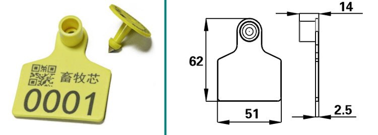 Esta imagen combina el crotal bovino E-021 con un dibujo técnico que muestra la forma frontal y las dimensiones laterales de la etiqueta.