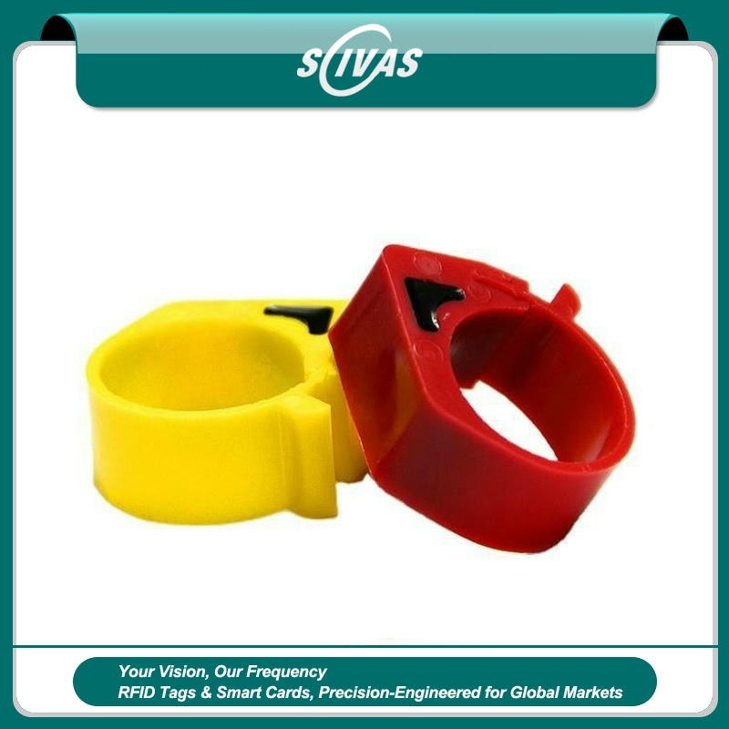 Anillas RFID para patas de aves de corral